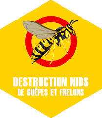DESTRUCTION NID DE GUEPE OU FRELON