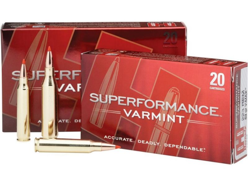 Cartouches HORNADY 204 Ruger 40 gr V-MAX® Superformance/20