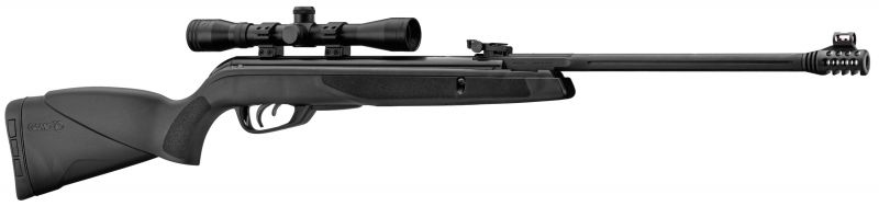Carabine GAMO Black Bear + 4x32 wr + 500 plombs Offerts 