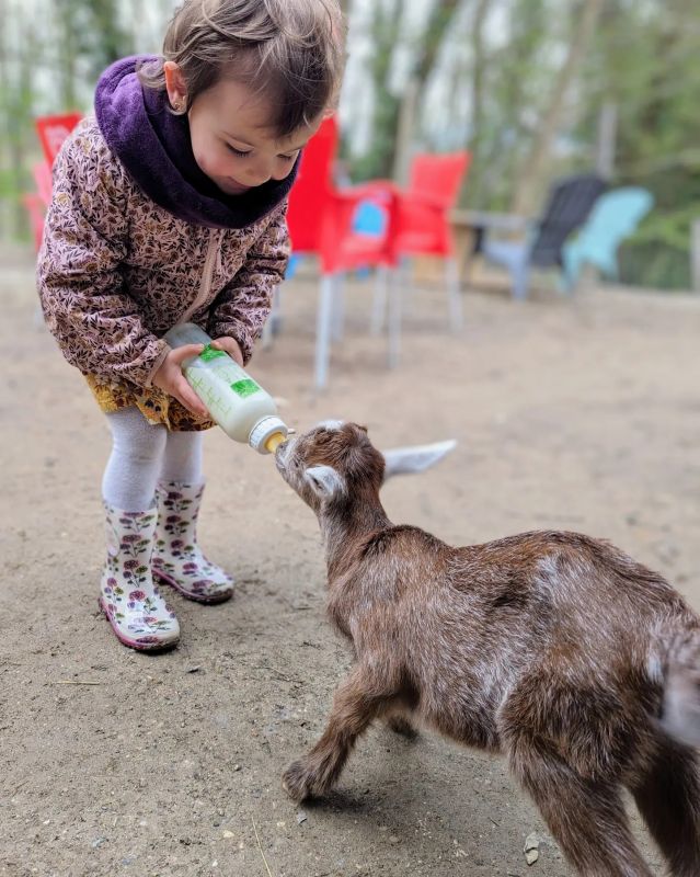 Moment privilégié avec nos bébé pour donne le biberon .