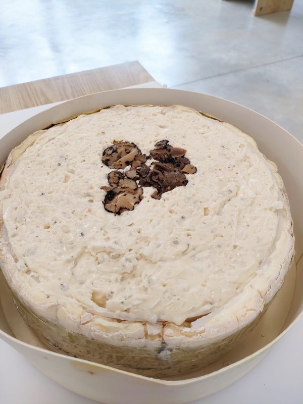 Fromage d'exception 7
