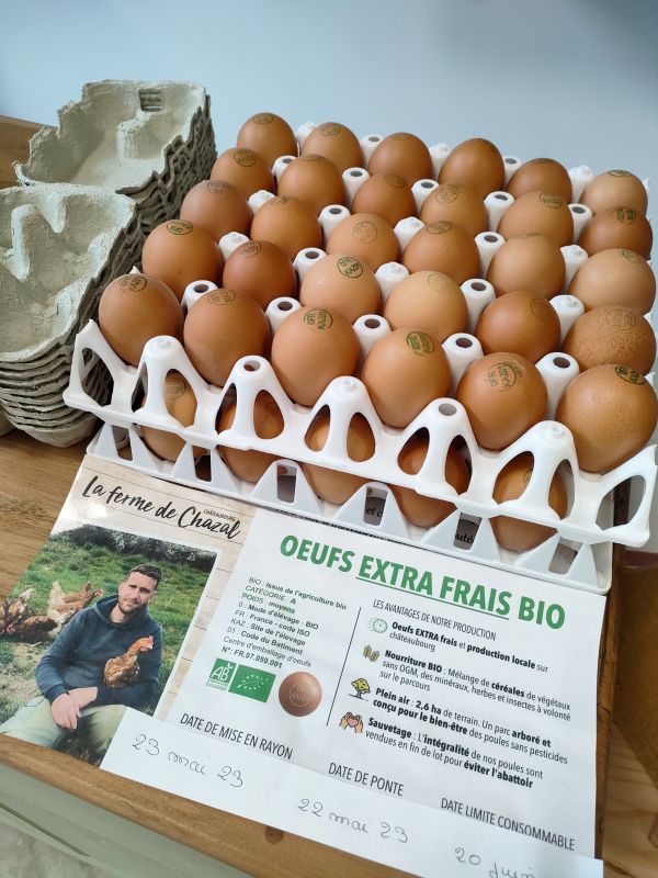 OEUFS BIO (07)